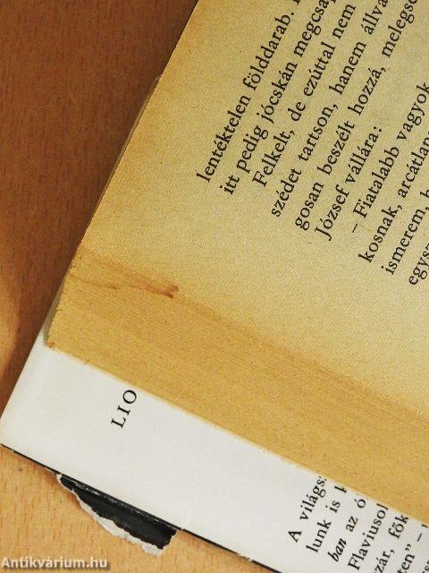 A zsidó háború I-II.