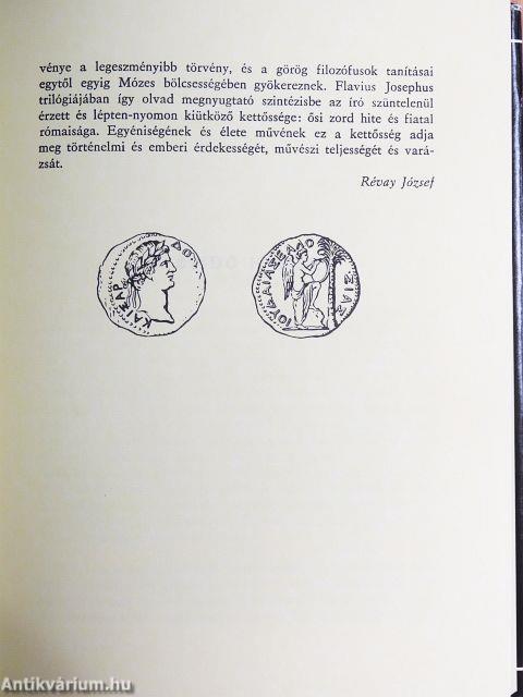 A zsidó háború