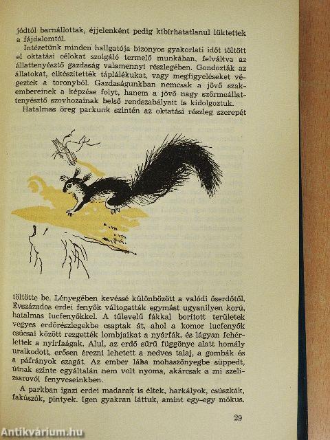 Védett erdők sűrűjében