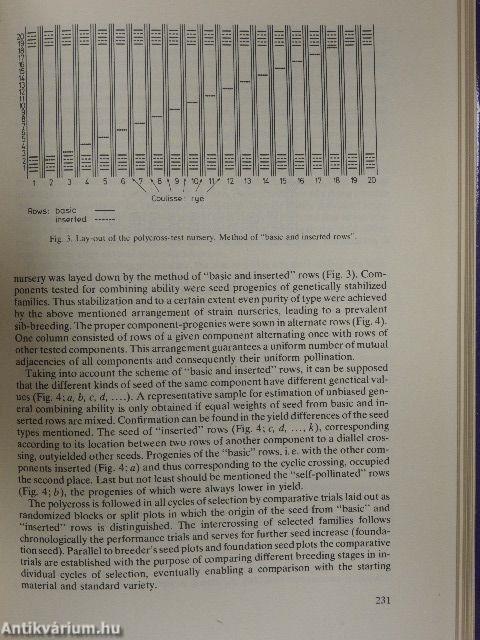Heterosis in Plant Breeding