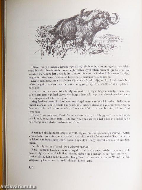 Kittenberger Kálmán élete 