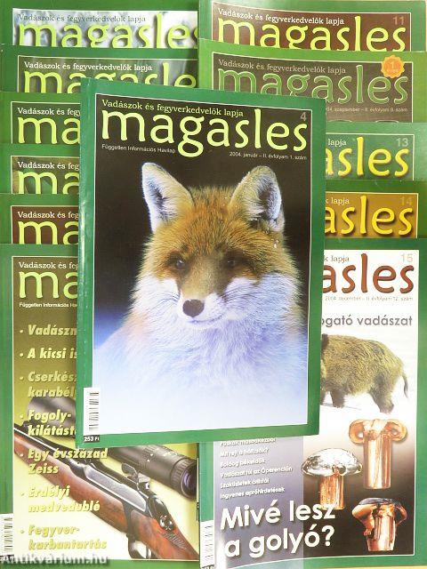 Magasles 2004. január-december