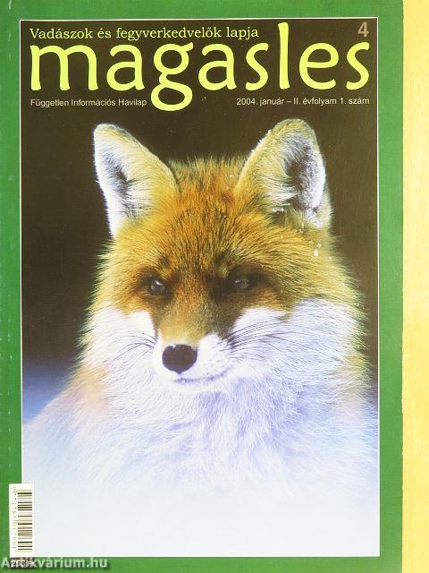 Magasles 2004. január-december
