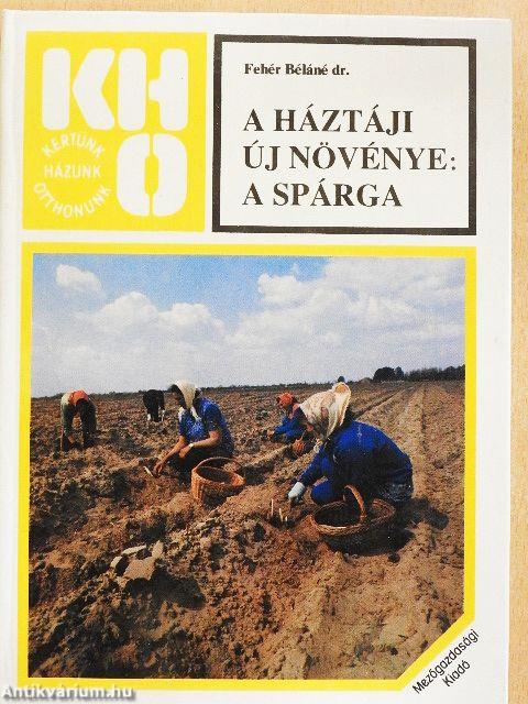 A háztáji új növénye: a spárga