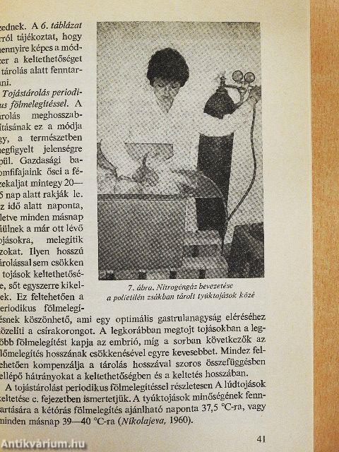 A baromfikeltetés gyakorlata
