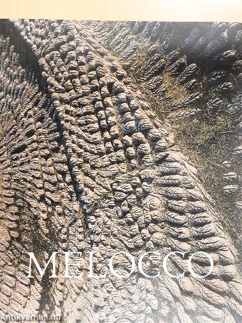 Melocco Miklós