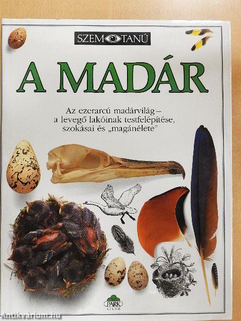 A madár