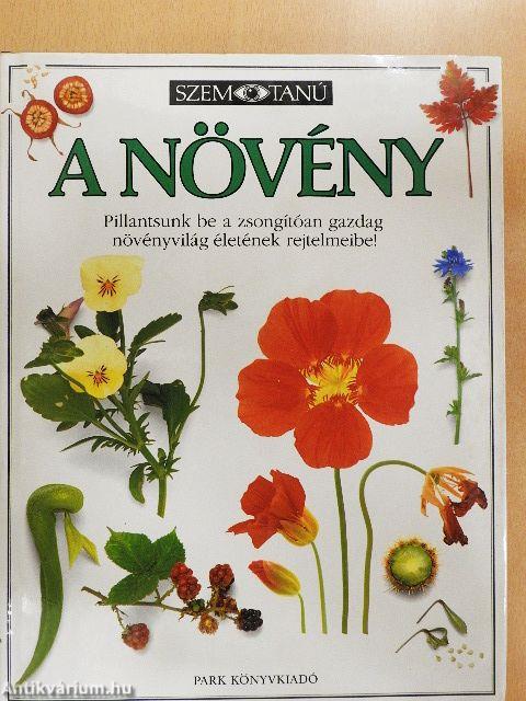 A növény