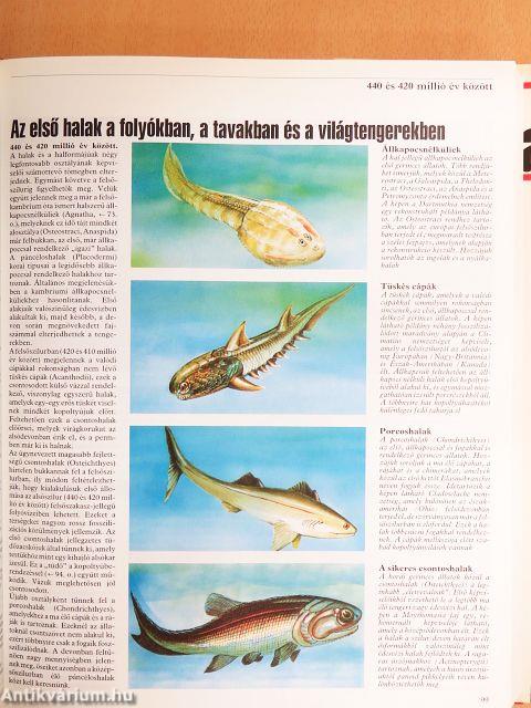 A Föld krónikája