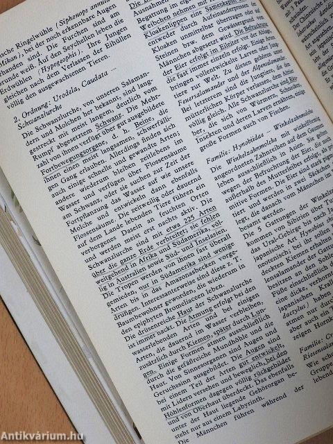 Das neue Tierreich nach Brehm