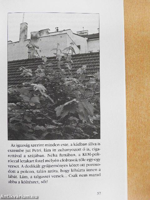 A bécsi üvegdinnye