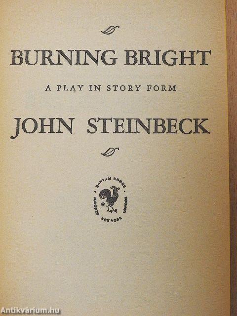 Burning bright