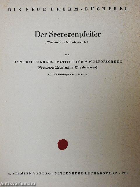 Der Seeregenpfeifer