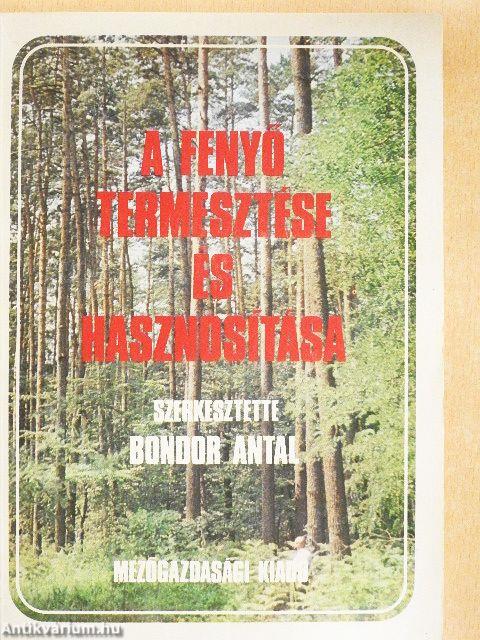 A fenyő termesztése és hasznosítása
