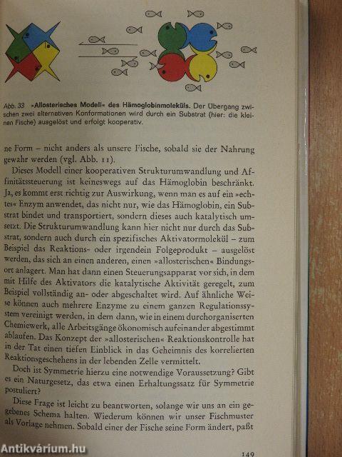 Das Spiel