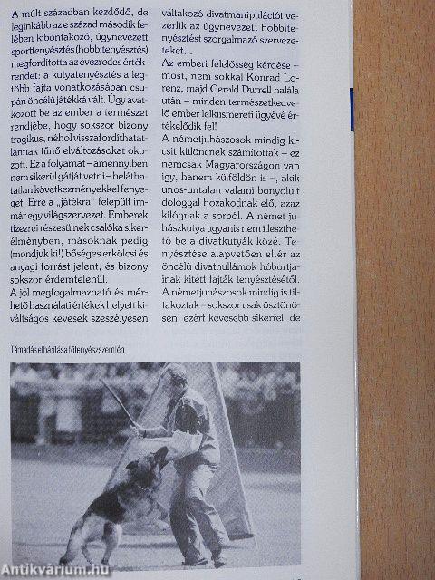 Német juhászkutya