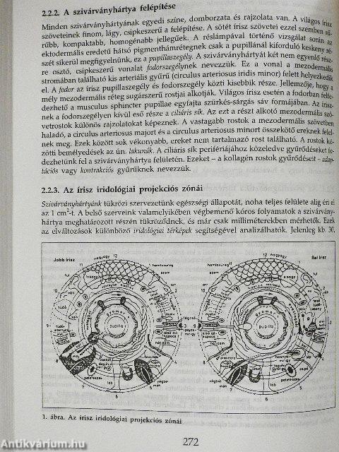 Természetes gyógymódok