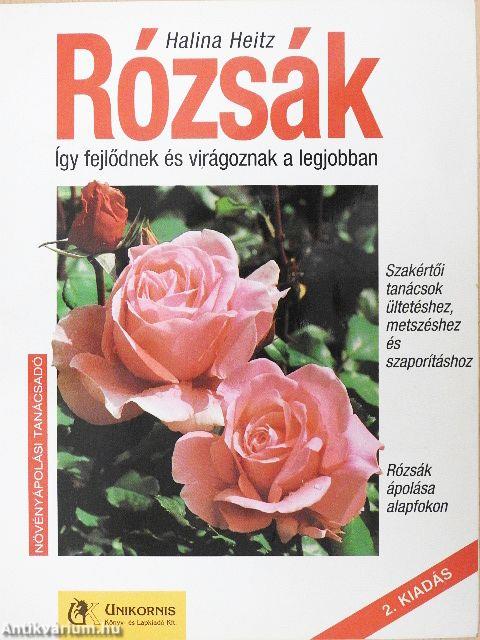 Rózsák