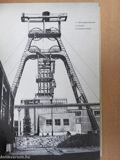 Tisztelet Komlónak!