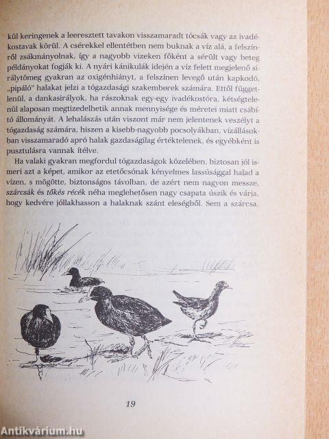 Nemszeretem állatok