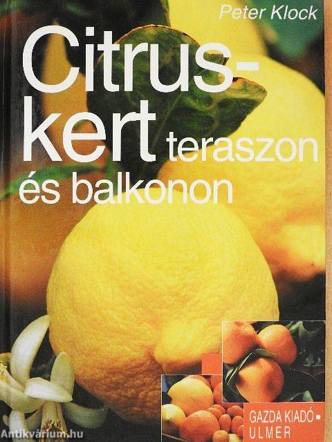 Citruskert teraszon és balkonon