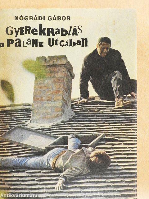 Gyerekrablás a Palánk utcában