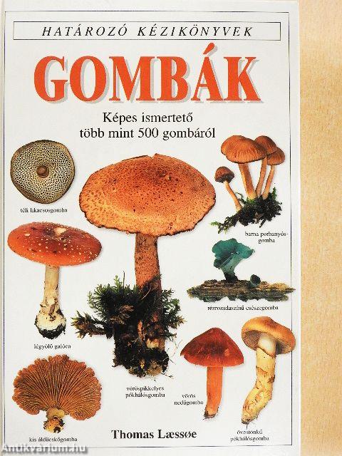 Gombák