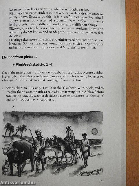 Teach English
