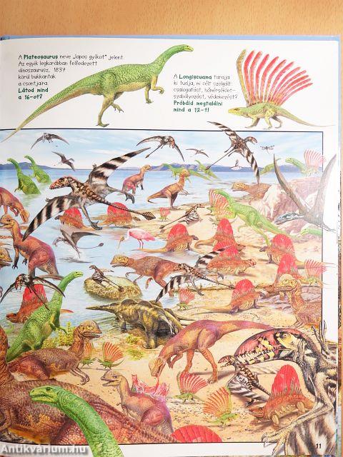 Keresd meg a dinoszauruszokat!