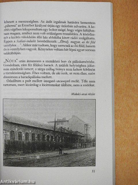 A Nyilas jegyében