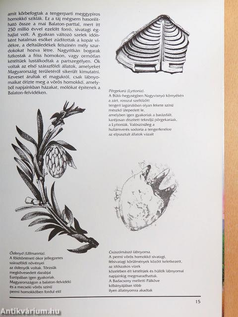 Ősvilágunk képekben