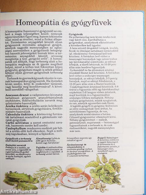 Terhesség hétről hétre