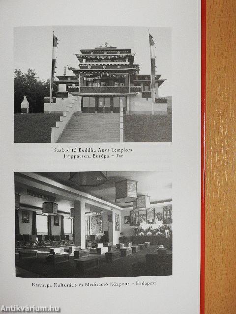 A tibeti halottaskönyv