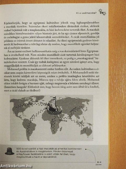 Macskamágia