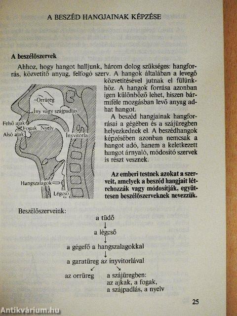 Kis magyar nyelvtan