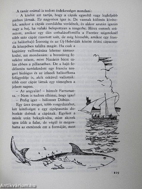 Jokkó visszatér