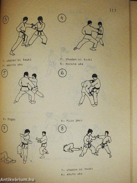 Karate 3.