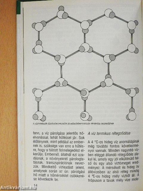 A vizek világa