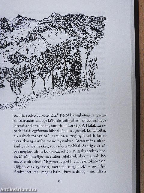 Völgy a világ végén