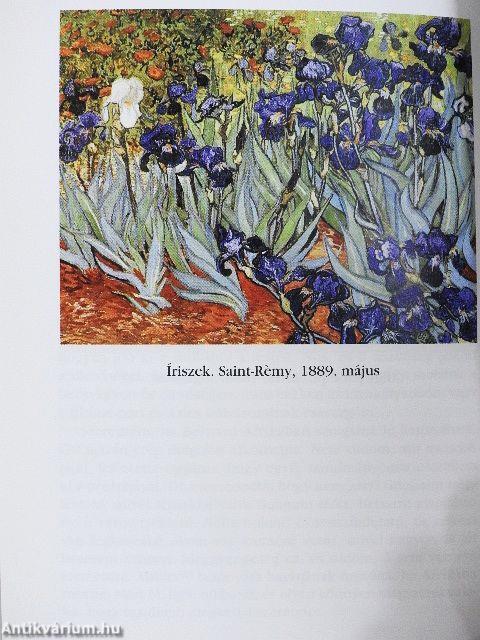 Van Gogh válogatott levelei
