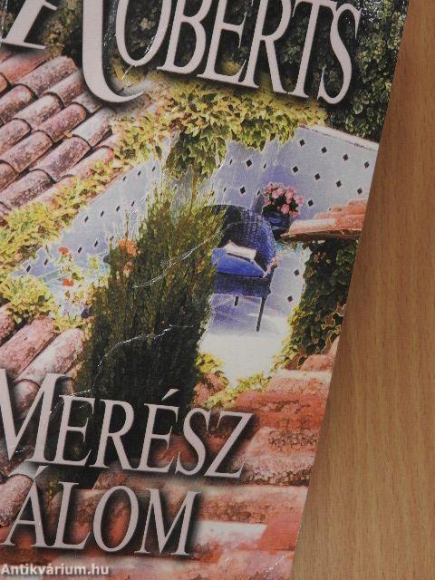 Merész álom