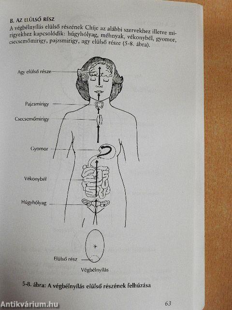 Gyógyító Szerelem