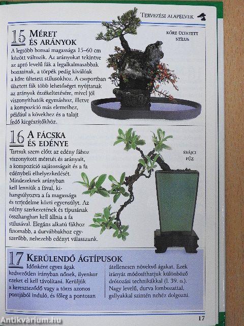 A bonsai