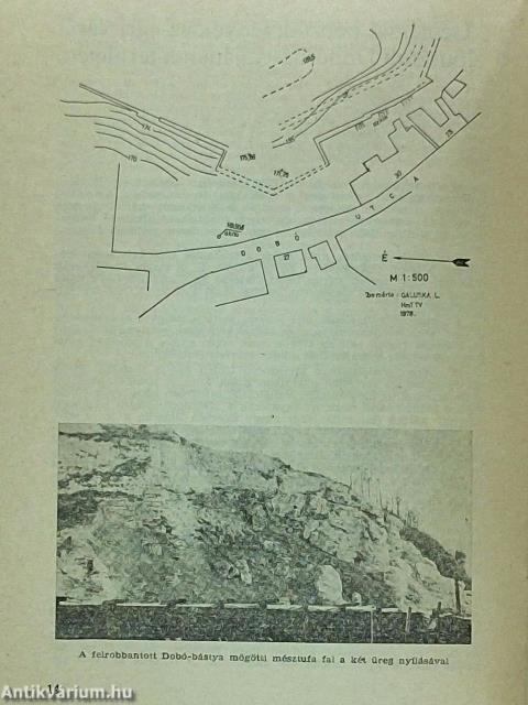 Az egri vár híradója 1981/16.