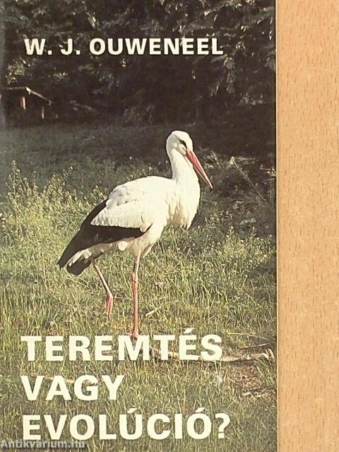 Teremtés vagy evolúció?