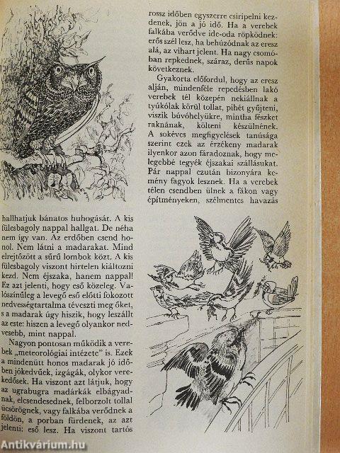 A természet mint barométer