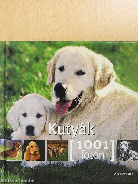 Kutyák 1001 fotón