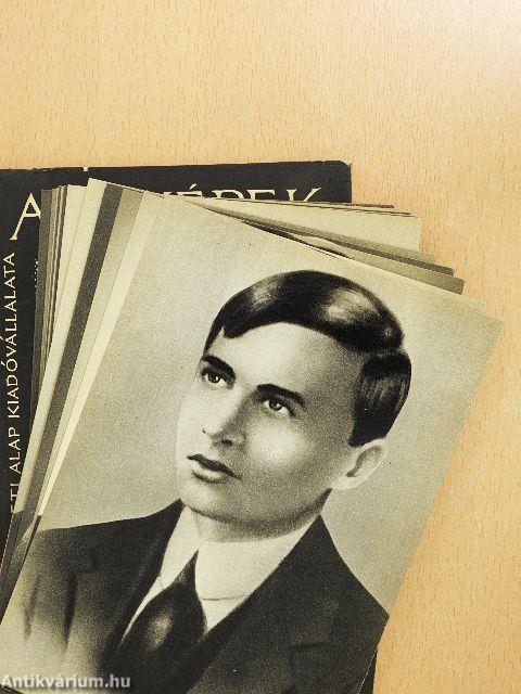 Magyar történelem 5.