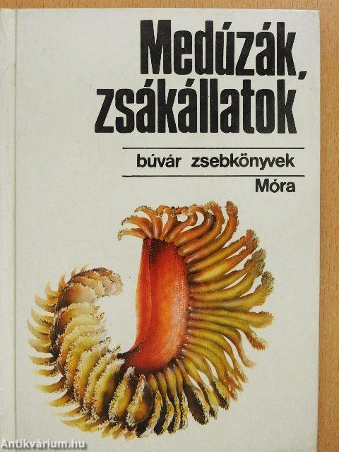 Medúzák, zsákállatok