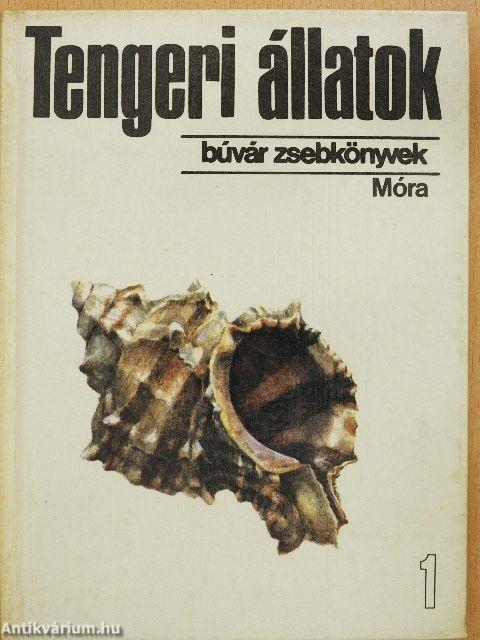 Tengeri állatok 1.